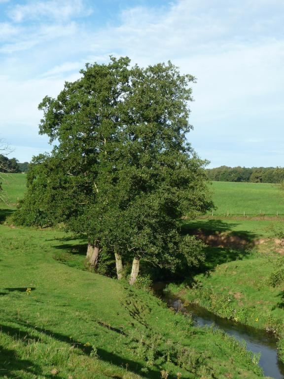 Birtles Farm Bed And Breakfast Knutsford Exteriör bild